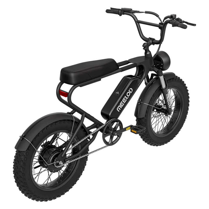 MEELOD DK200 20" Retro Moped Style Electric Bike 750W Motor 48V 13Ah Battery (CA Version)