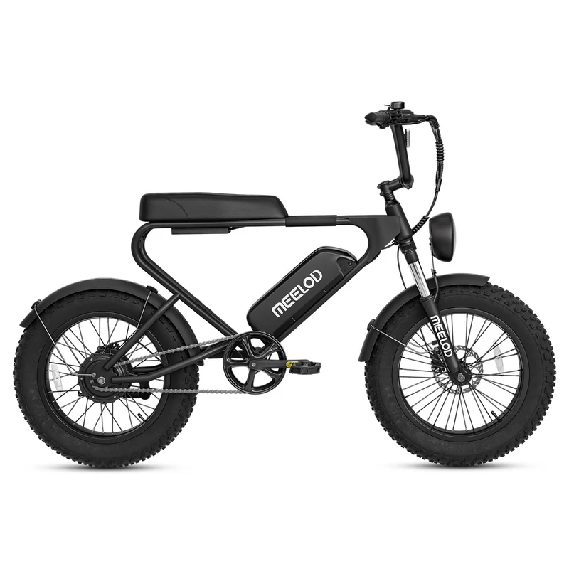 MEELOD DK200 20" Retro Moped Style Electric Bike 750W Motor 48V 13Ah Battery (CA Version)
