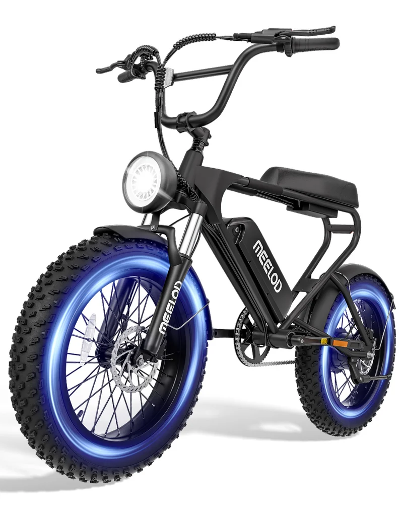 MEELOD DK200 20" Retro Moped Style Electric Bike 750W Motor 48V 13Ah Battery (CA Version)