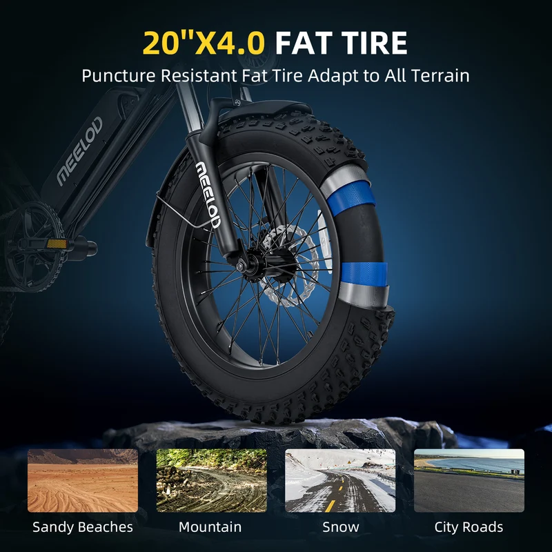 MEELOD DK200 20" Retro Moped Style Electric Bike 750W Motor 48V 13Ah Battery (CA Version)