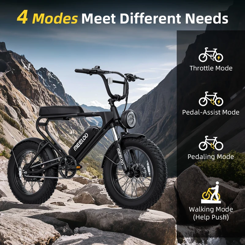 MEELOD DK200 20" Retro Moped Style Electric Bike 750W Motor 48V 13Ah Battery (CA Version)