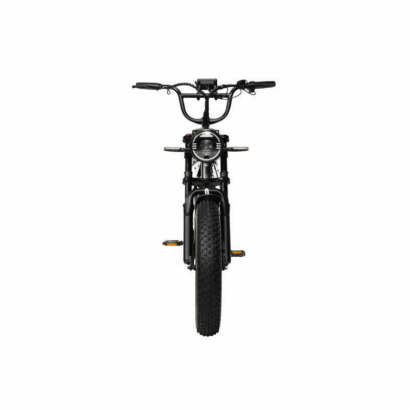 PIXAR SuperV 20" Electric Off-road Bike 500W Motor 48V 30Ah/15.6Ah Battery