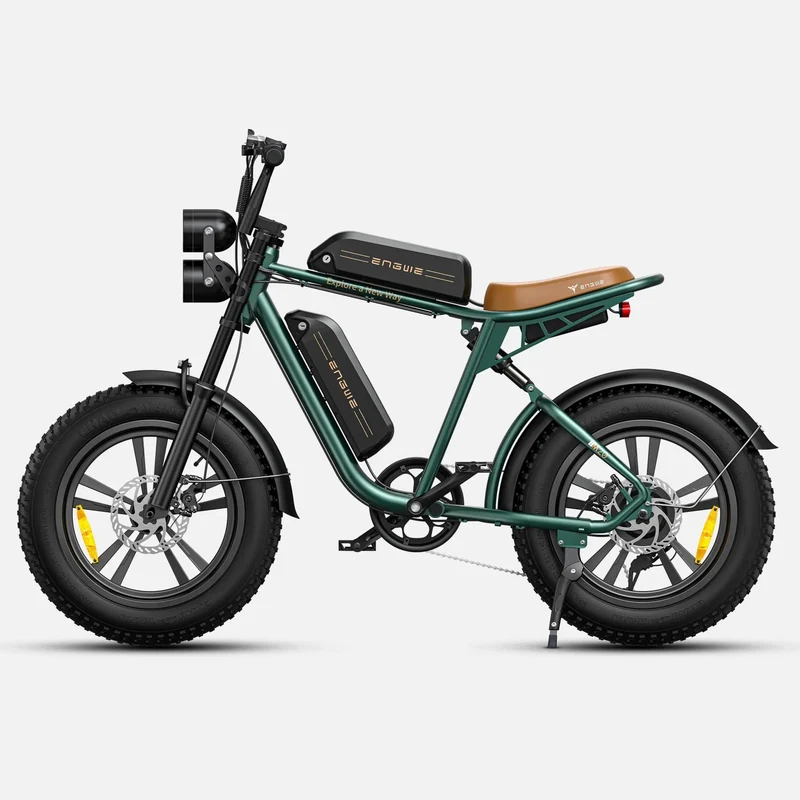 Ebike ENGWE M20 GARANZIA ITALIA Bici a pedalata assistita