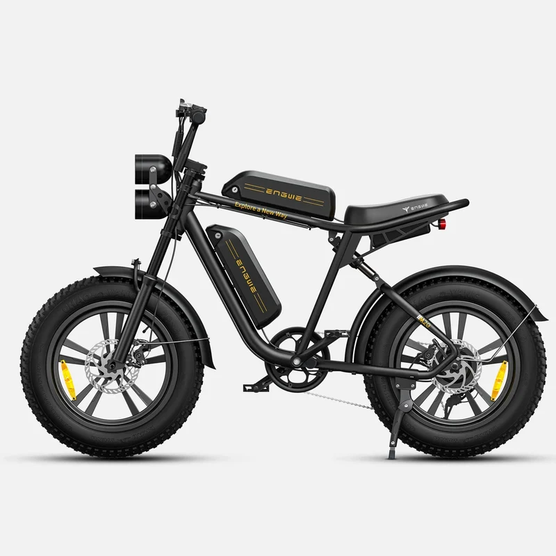 Ebike ENGWE M20 GARANZIA ITALIA Bici a pedalata assistita
