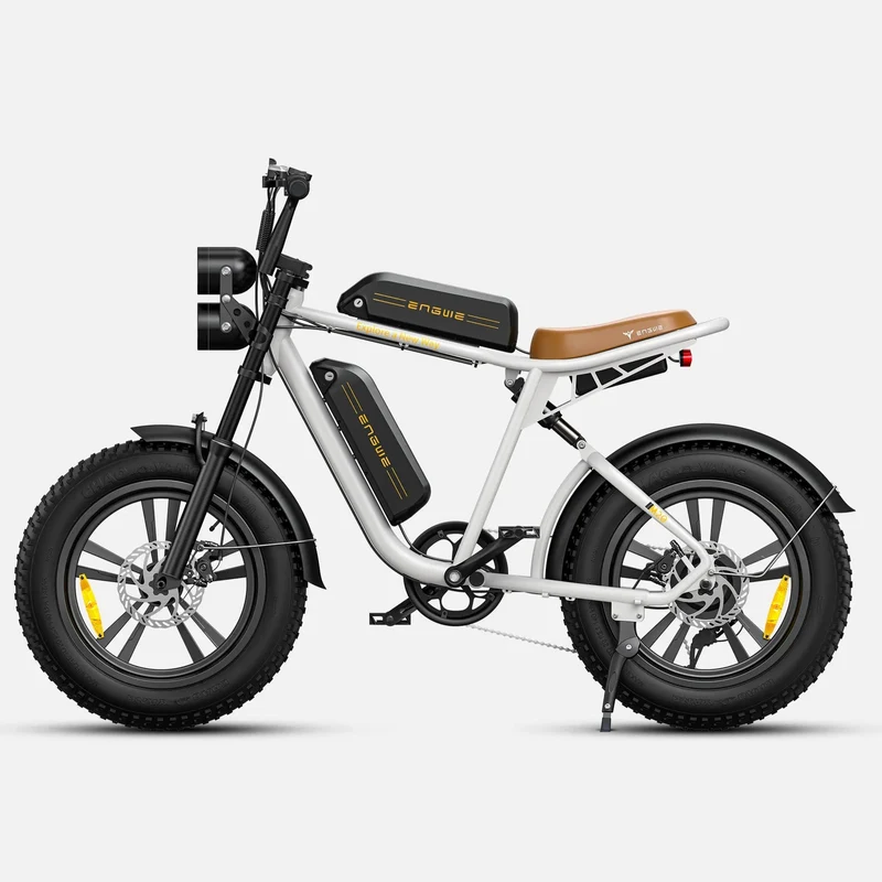 Ebike ENGWE M20 GARANZIA ITALIA Bici a pedalata assistita