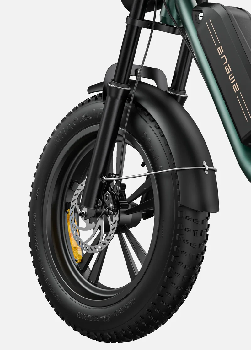 Ebike ENGWE M20 GARANZIA ITALIA Bici a pedalata assistita