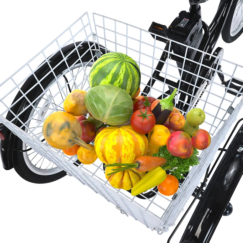 GOGOBEST GF100 24" Electric City Tricycle Cargo Ebike 350W Motor 36V 15Ah/20Ah Battery