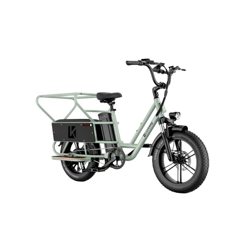 LUCKEEP X5 Lite 20" Cargo Electric Bike 750W(1400W Peak) Motor 48V 20Ah Battery