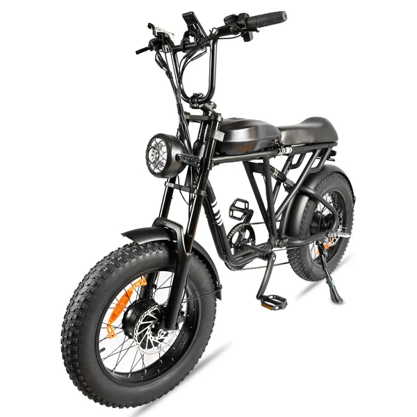 POLEEJIEK PLJ2008 20" Fat Tire Electric Bike 2000W Dual Motors 48V 20Ah Battery
