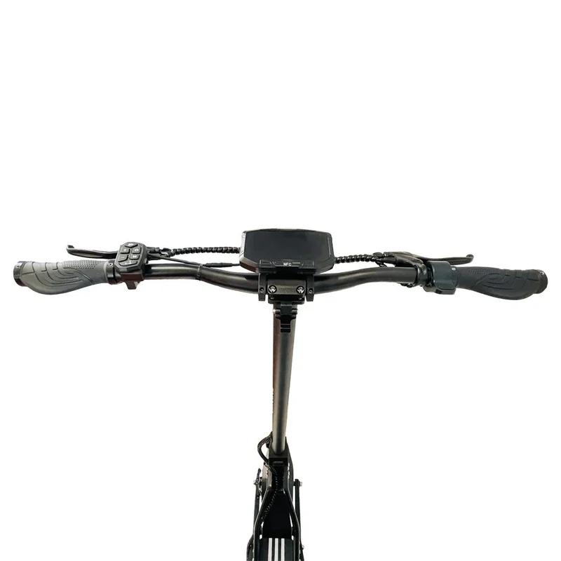DRIVETRON DT10 10" Foldable Electric Scooter 1000W Motor 48V 15.6Ah Battery(Turn Signal Version)