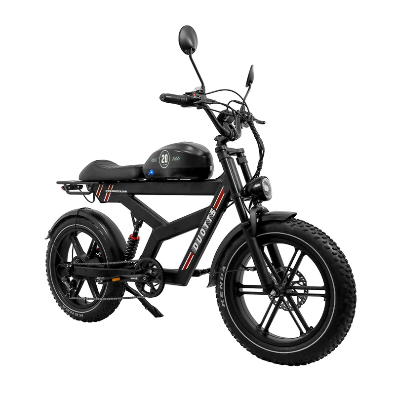 DUOTTS F20 20" Off Road Electric Bike 750W Motor 52V 27Ah Battery