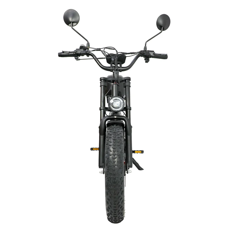 DUOTTS F20 20" Off Road Electric Bike 750W Motor 52V 27Ah Battery