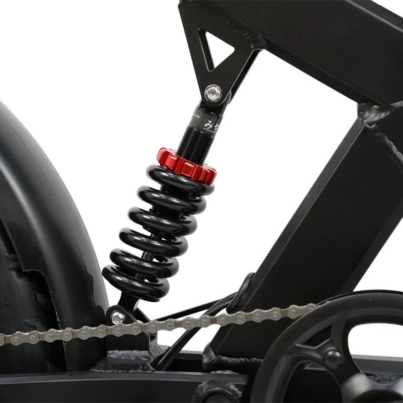 DUOTTS F20 20" Off Road Electric Bike 750W Motor 52V 27Ah Battery