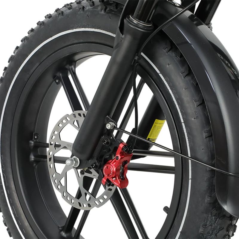 DUOTTS F20 20" Off Road Electric Bike 750W Motor 52V 27Ah Battery