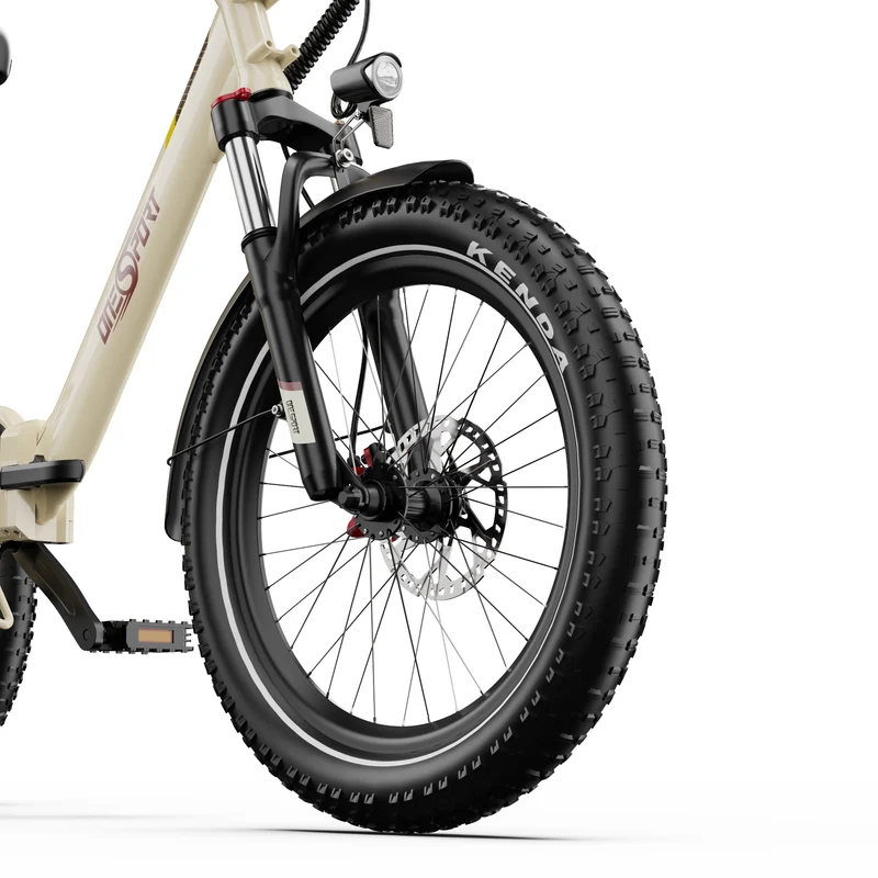 ONESPORT OT30 PRO 20" 3-Wheel Folding E-Trike 500W Motor 48V 18Ah Battery