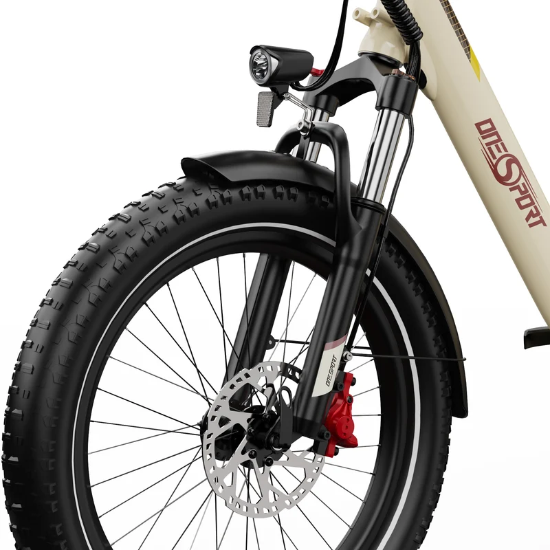 ONESPORT OT30 PRO 20" 3-Wheel Folding E-Trike 500W Motor 48V 18Ah Battery