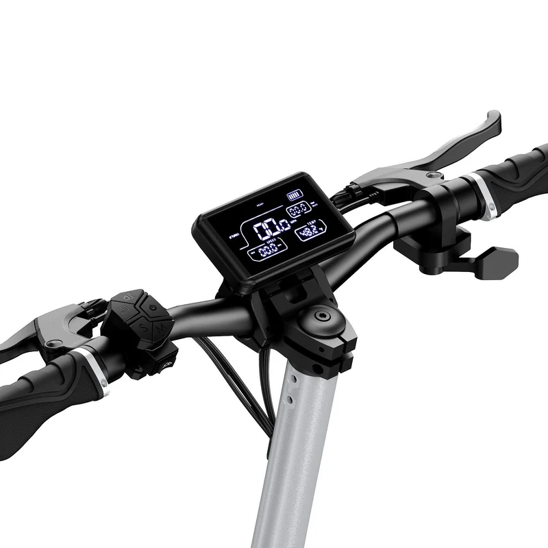 Raptor Pro Dual Motor Electric Scooter