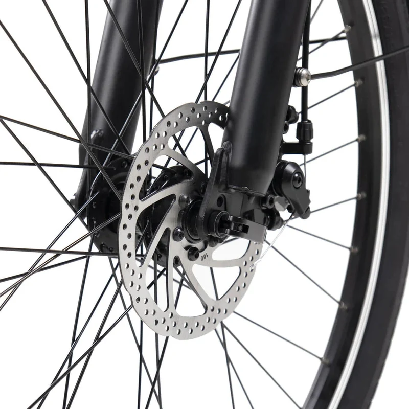 DYU C6 12.5AH 26 Inch City Electric Bike