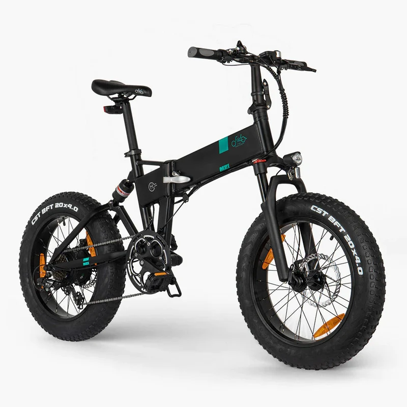 Fiido M21 Fat Tyre Electric Bike With Torque Sensor
