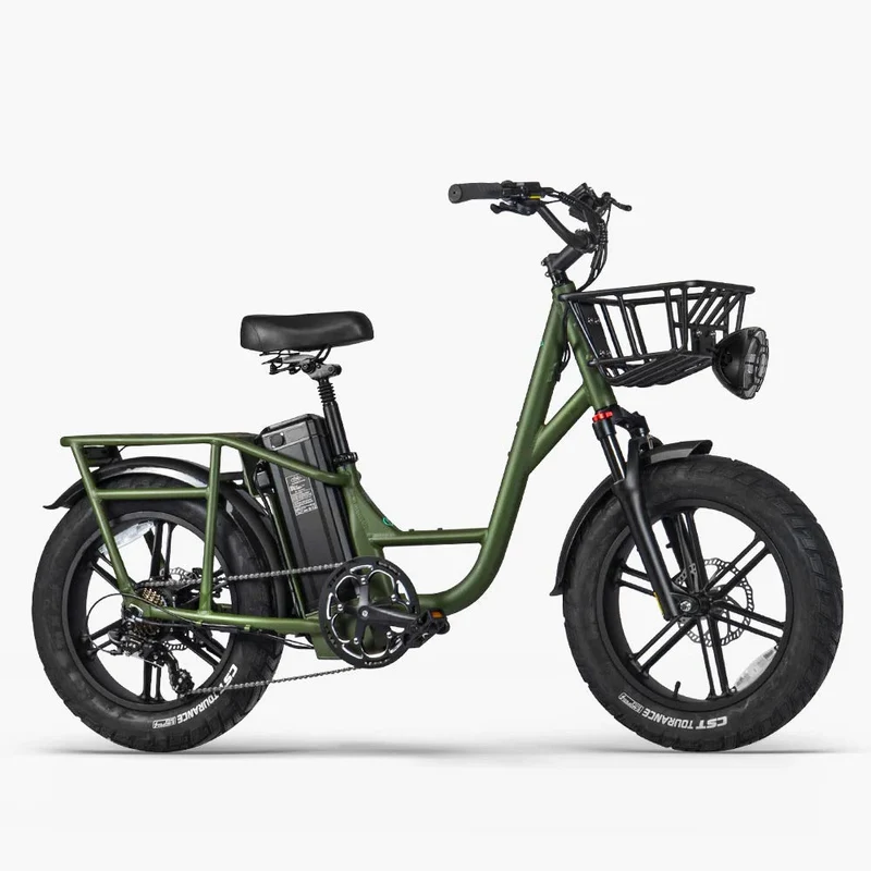 Fiido T1 Pro Utility Electric Bike
