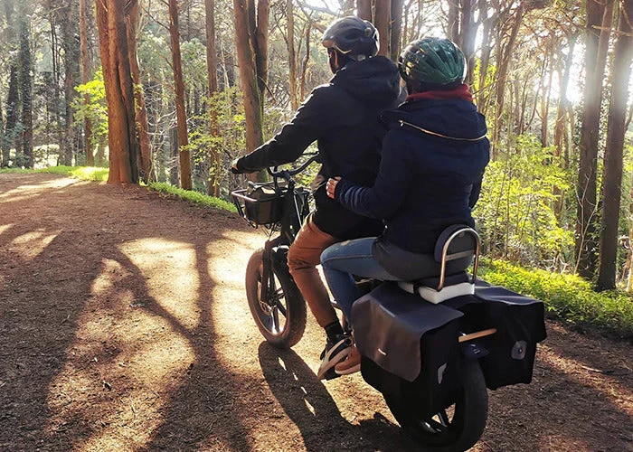 Fiido T1 Pro Utility Electric Bike