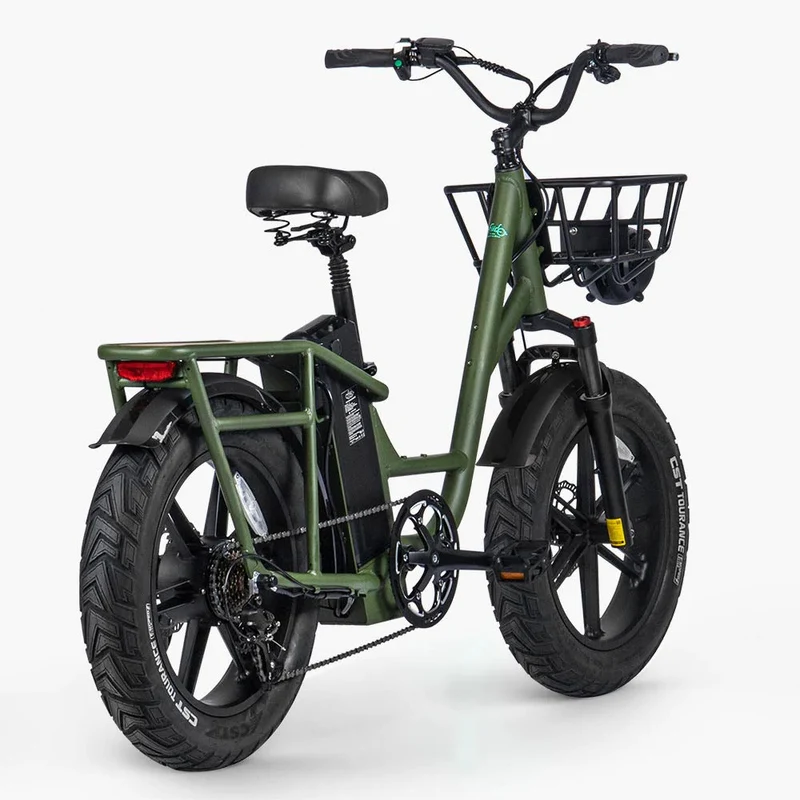 Fiido T1 Pro Utility Electric Bike