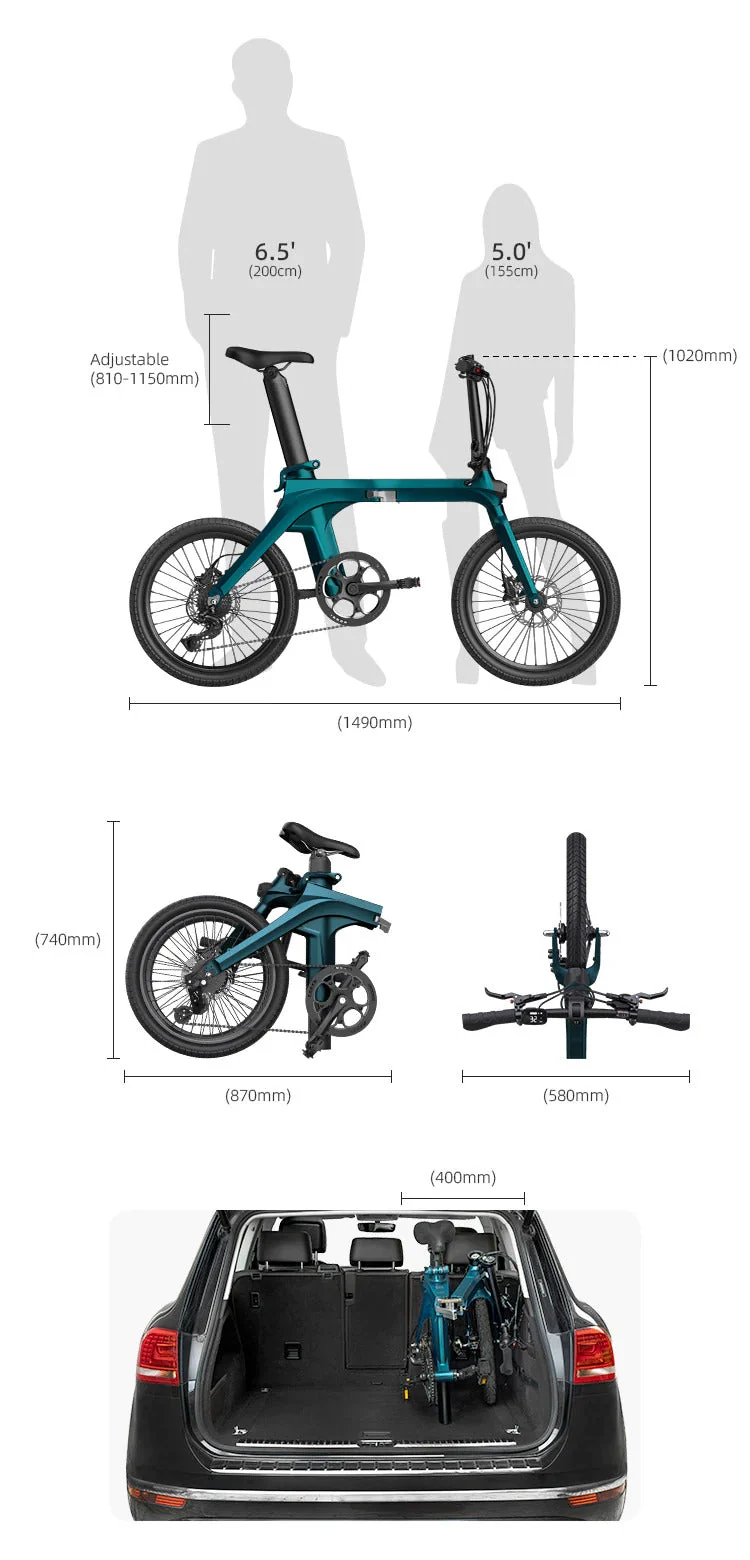Fiido X Folding Electric Bike With Torque Sensor