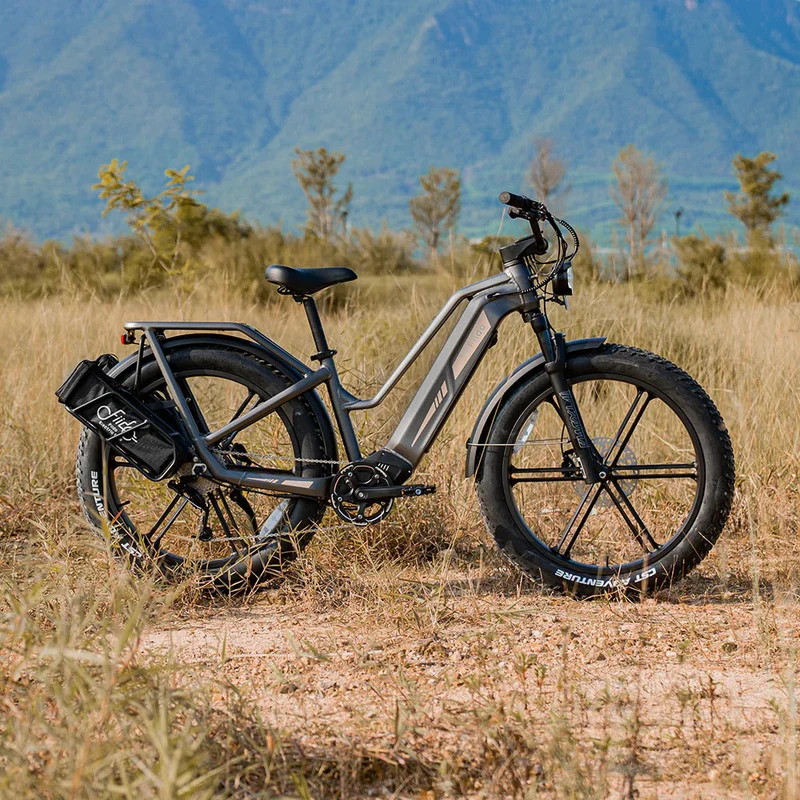 Fiido Titan Robust Cargo Electric Bike With Torque Sensor