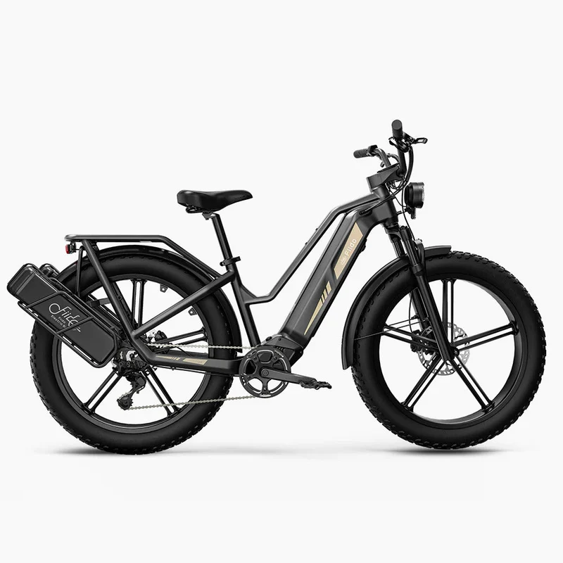 Fiido Titan Robust Cargo Electric Bike With Torque Sensor