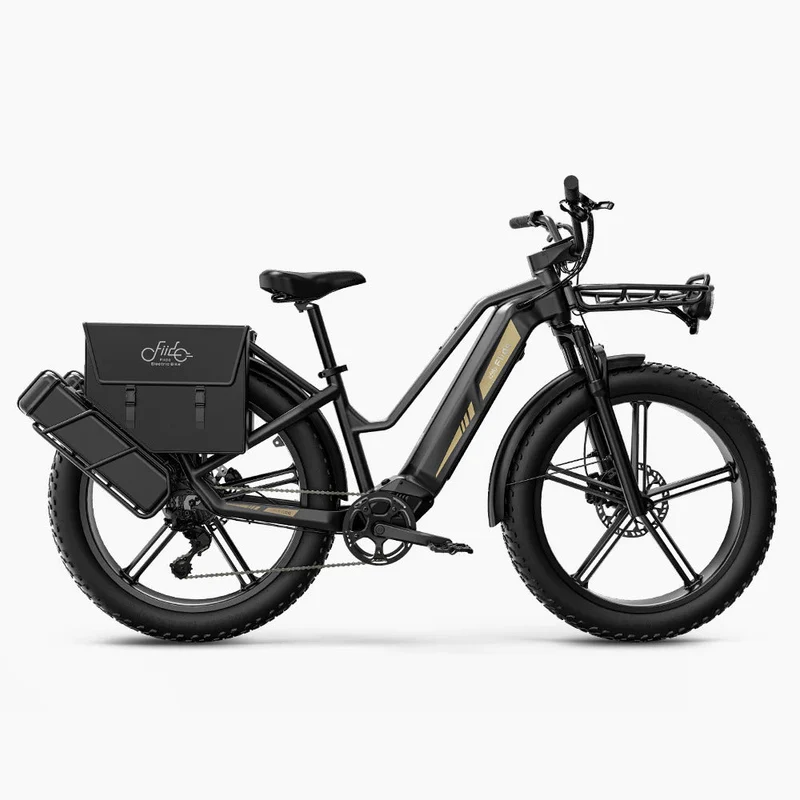 Fiido Titan Robust Cargo Electric Bike With Torque Sensor