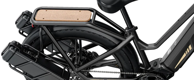 Fiido Titan Robust Cargo Electric Bike With Torque Sensor