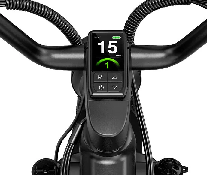 Fiido Titan Robust Cargo Electric Bike With Torque Sensor