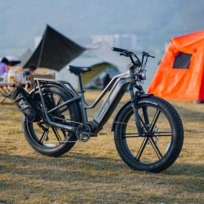 Fiido Titan Robust Cargo Electric Bike With Torque Sensor
