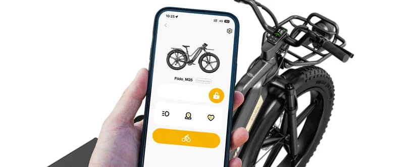 Fiido Titan Robust Cargo Electric Bike With Torque Sensor