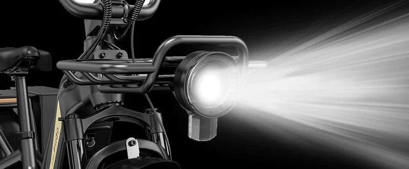 Fiido Titan Robust Cargo Electric Bike With Torque Sensor