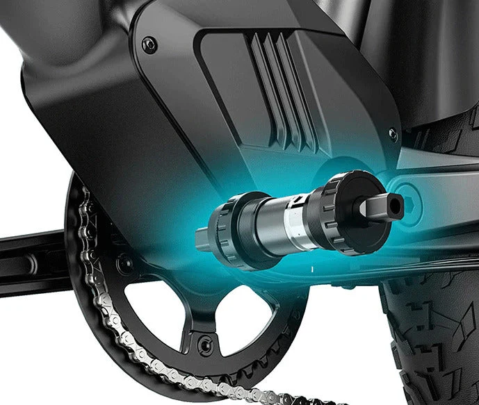 Fiido Titan Robust Cargo Electric Bike With Torque Sensor