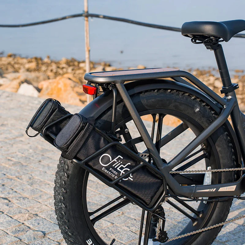 Fiido Titan Robust Cargo Electric Bike With Torque Sensor