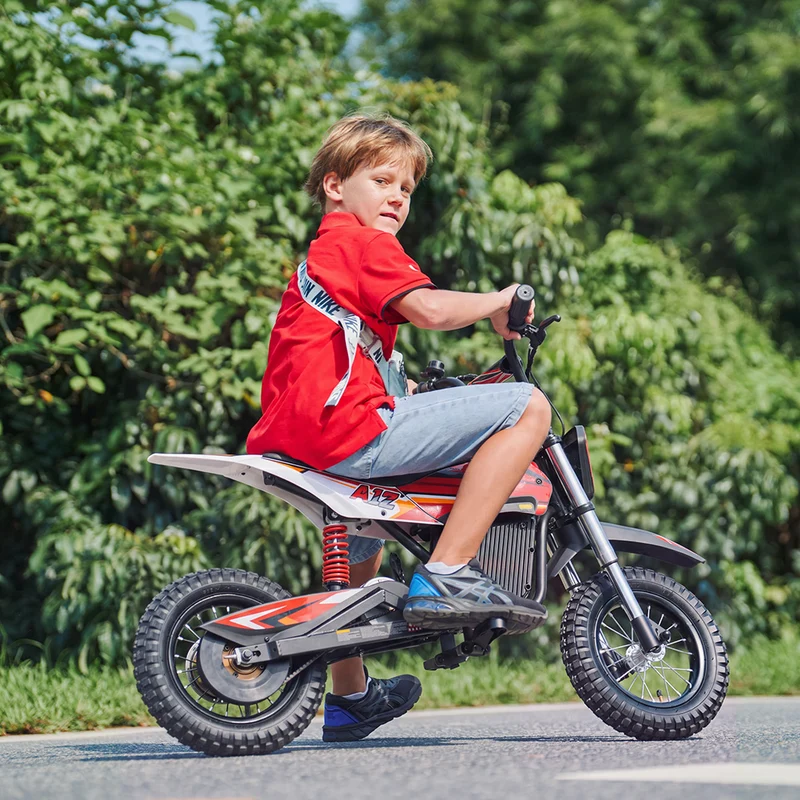 iScooter A12 350W Kids Electric Dirty Bike
