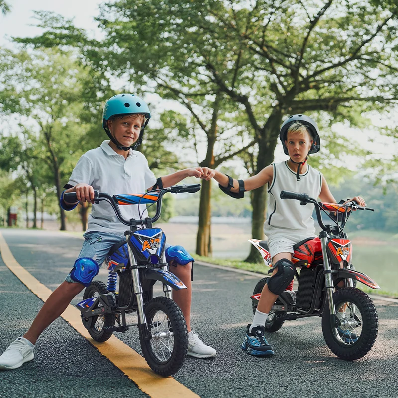 iScooter A12 350W Kids Electric Dirty Bike
