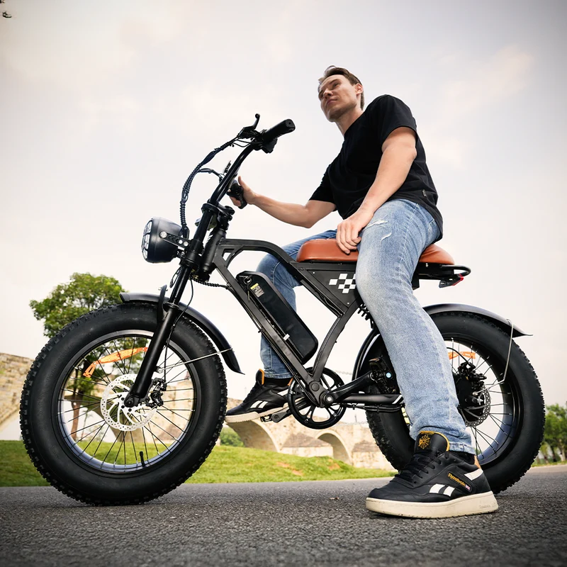 EB5Max 20 Inch Retro All-Terrain Electric Bike