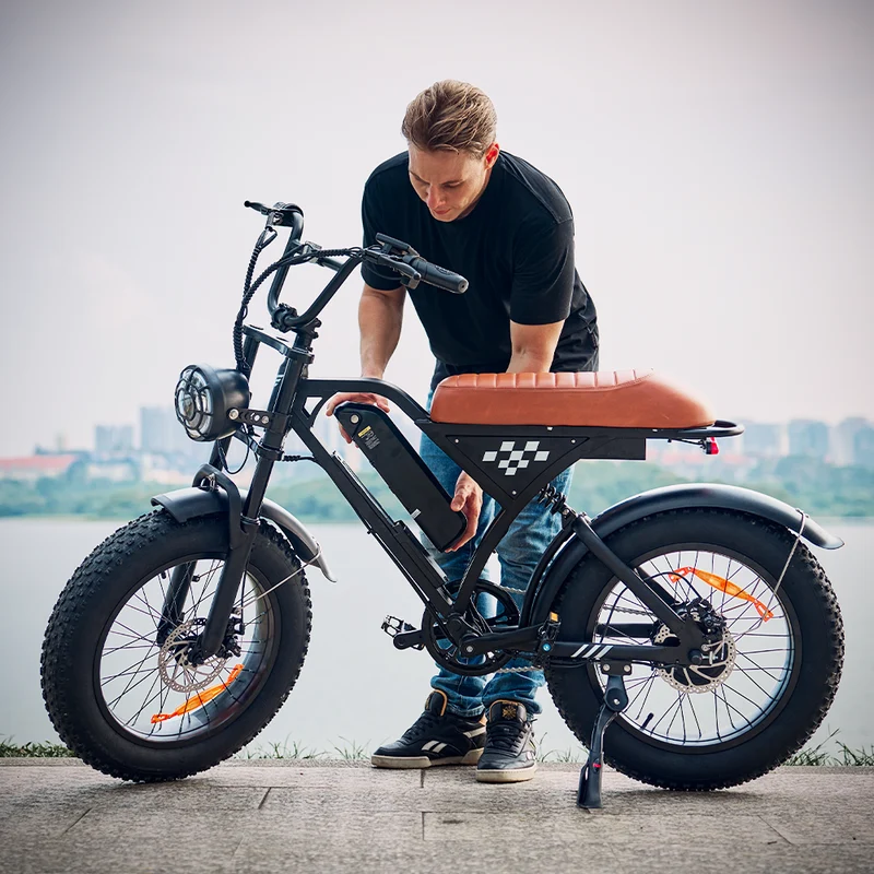 EB5Max 20 Inch Retro All-Terrain Electric Bike