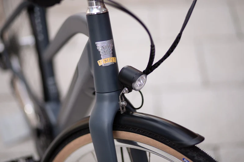 Temple Step Through Electric Bike