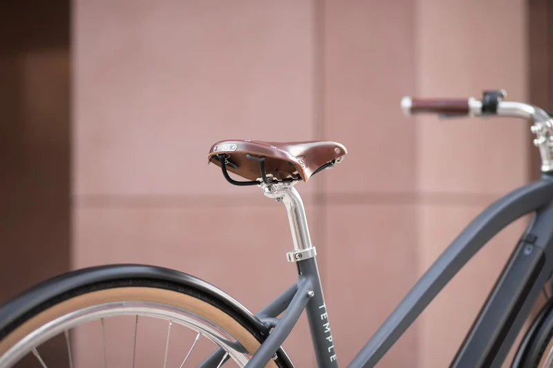 Temple Step Through Electric Bike