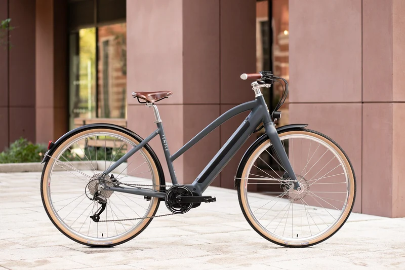 Temple Step Through Electric Bike