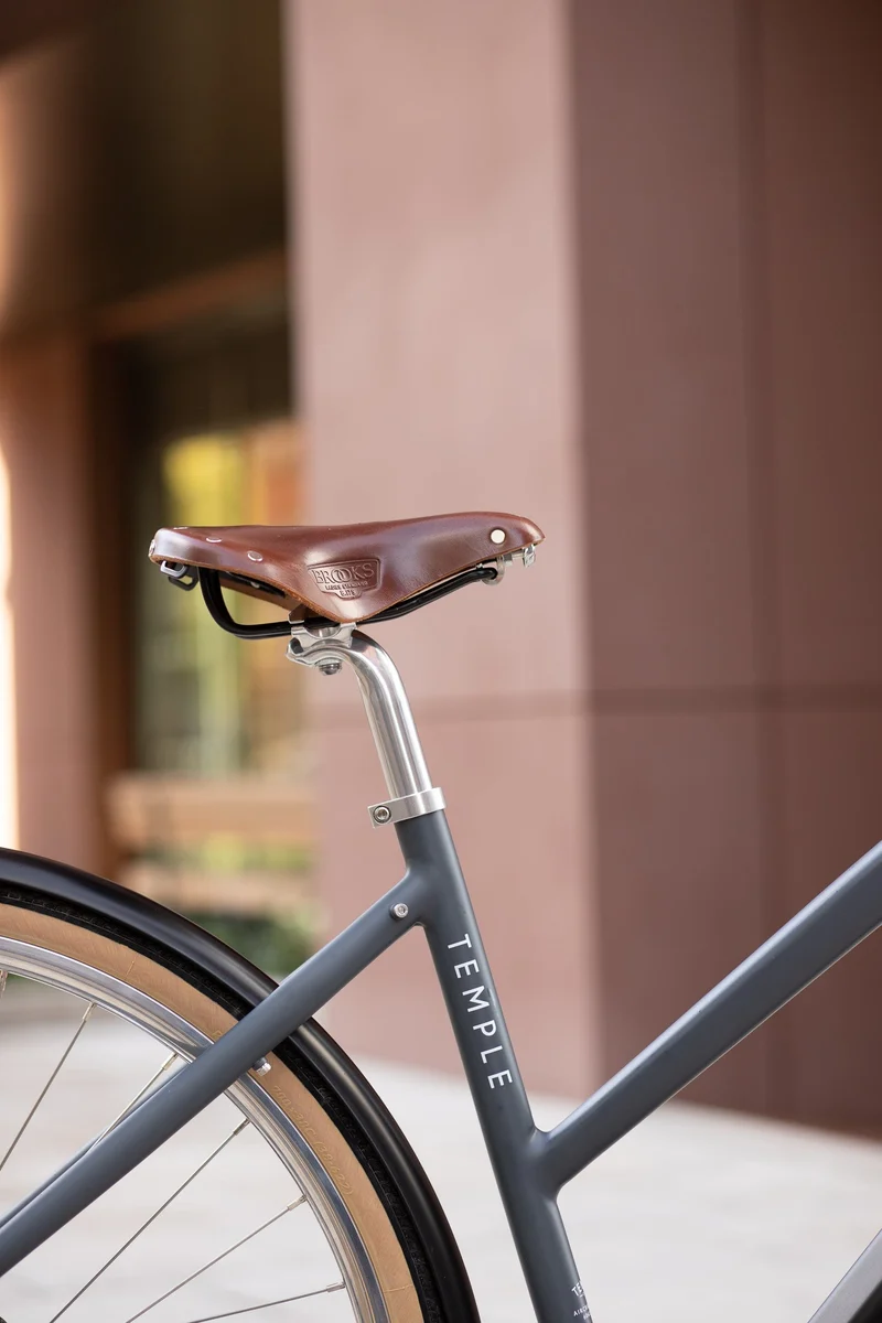 Temple Step Through Electric Bike