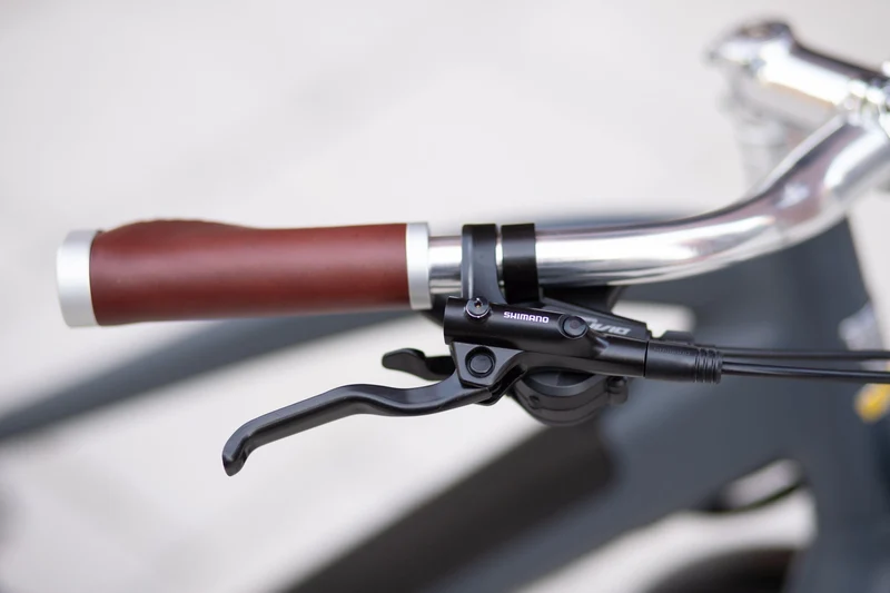 Temple Classic Electric Bike