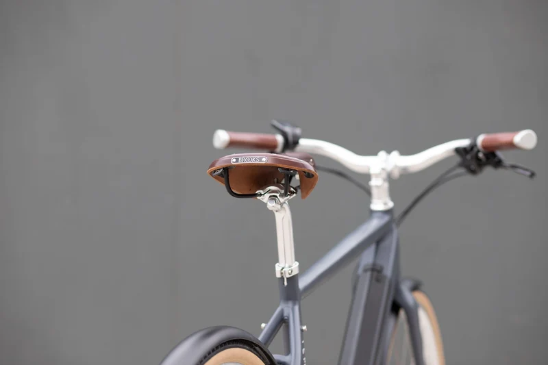 Temple Classic Electric Bike