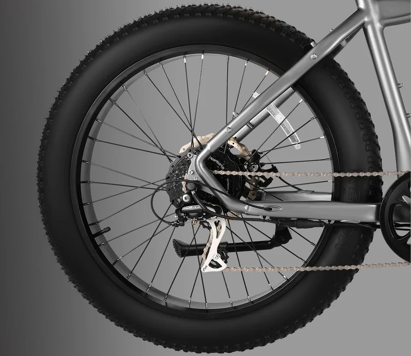 Vanpowers Manidae Electric Bike