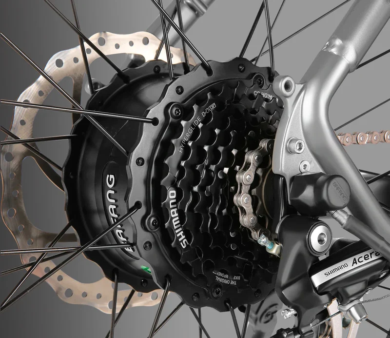 Vanpowers Manidae Electric Bike