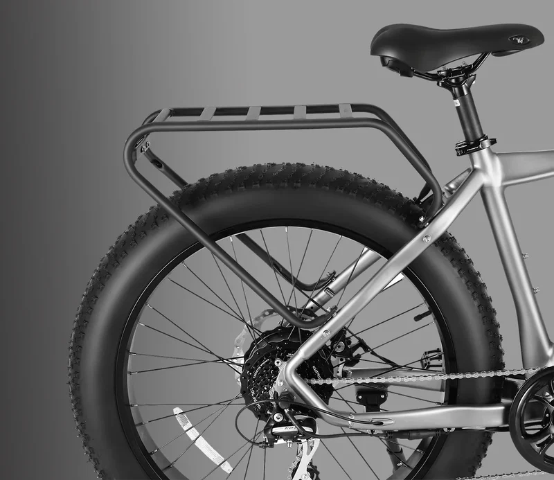 Vanpowers Manidae Electric Bike